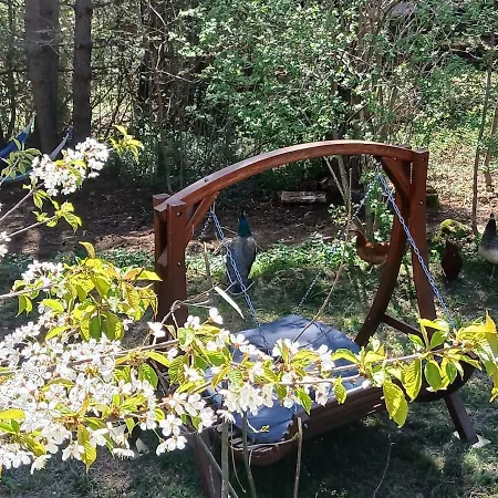 Petit Isolé En Pleine Forêt, Bain Norvégien Et Sauna